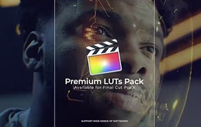 200+ 复古风格电影颜色分级调色LUT包 Cinematic LUTs pack | FCPX