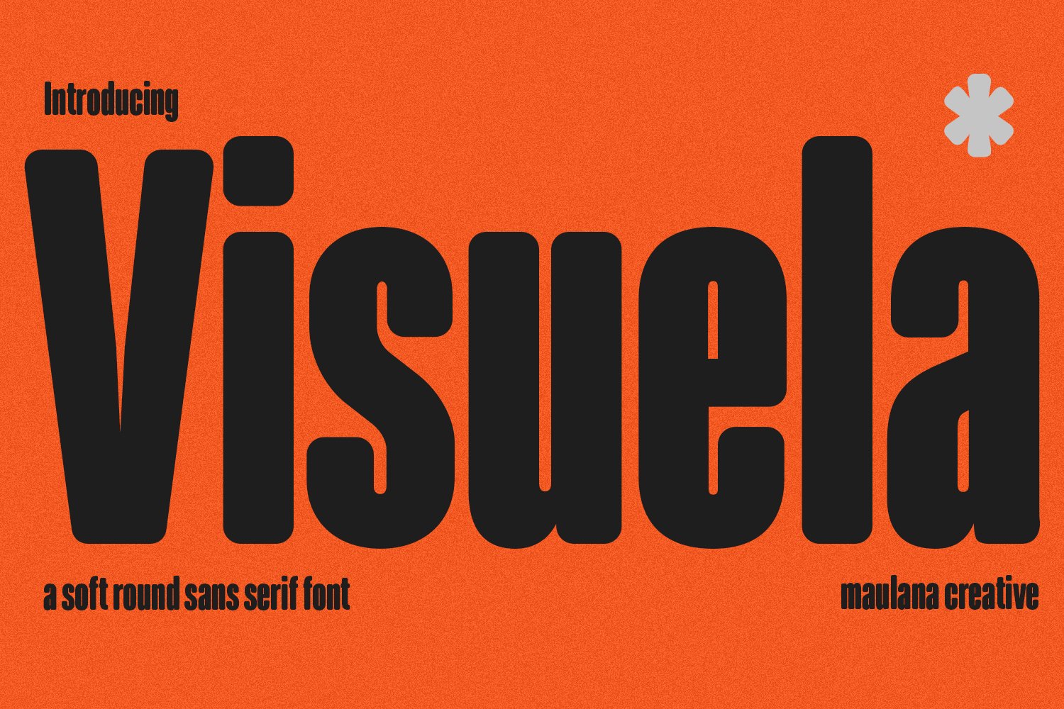 Visuela Sans Display Font 现代干净柔软的圆形无衬线字体 , 第1张