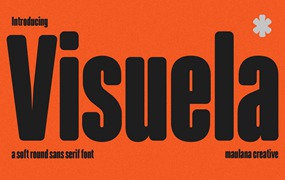 Visuela Sans Display Font 现代干净柔软的圆形无衬线字体