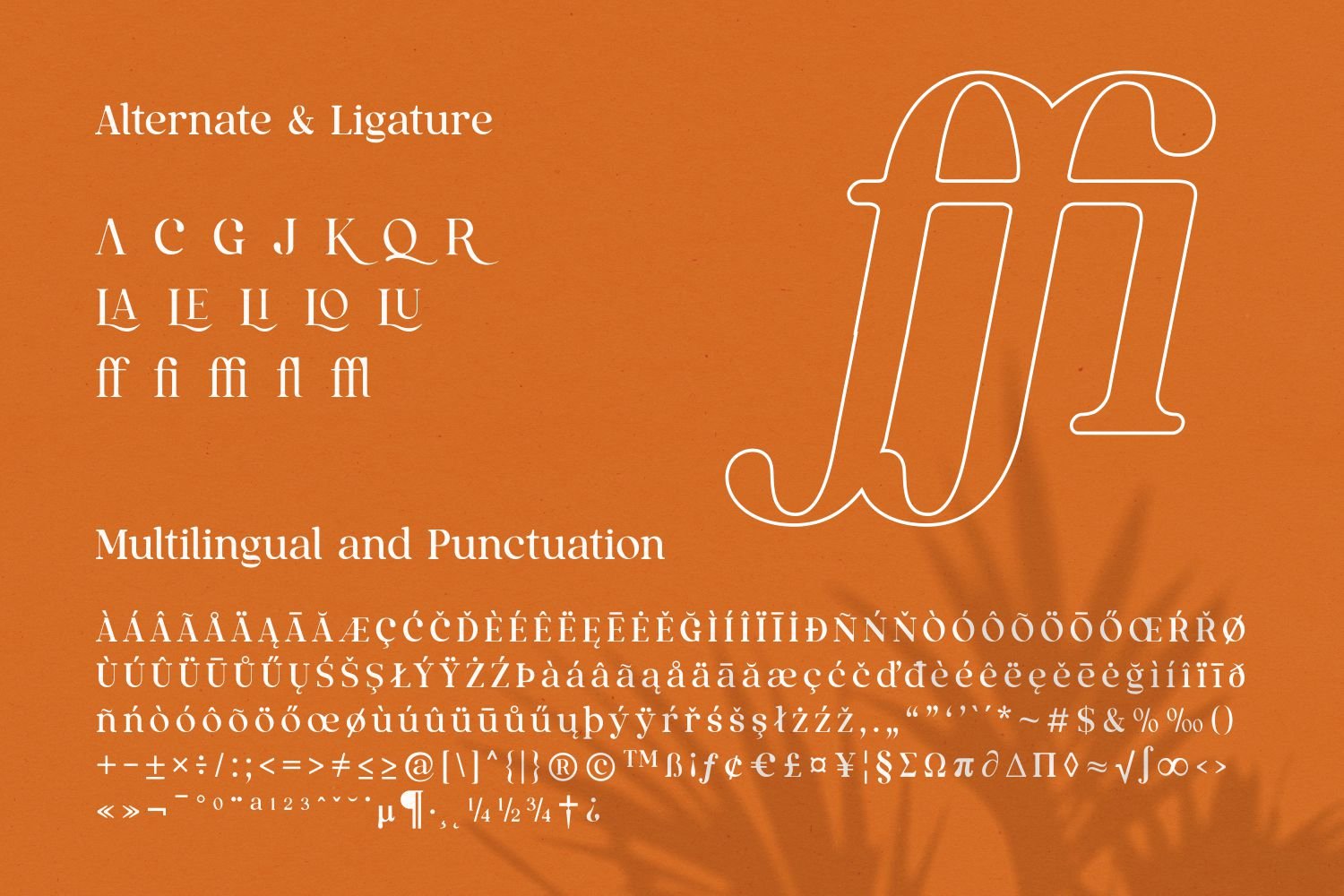 英文字体：复古奢华杂志海报标题品牌徽标LOGO设计PS衬线英文字体安装包 Qualux Fonts Family , 第9张