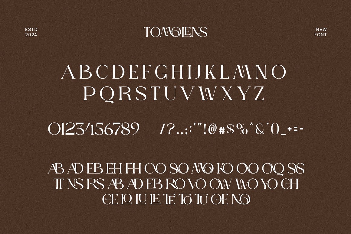 英文字体：时尚优雅女性化婚礼品牌包装标题LOGO设计PS衬线英文字体安装包 Tomolens Elegant Ligature Serif Font Typeface , 第6张