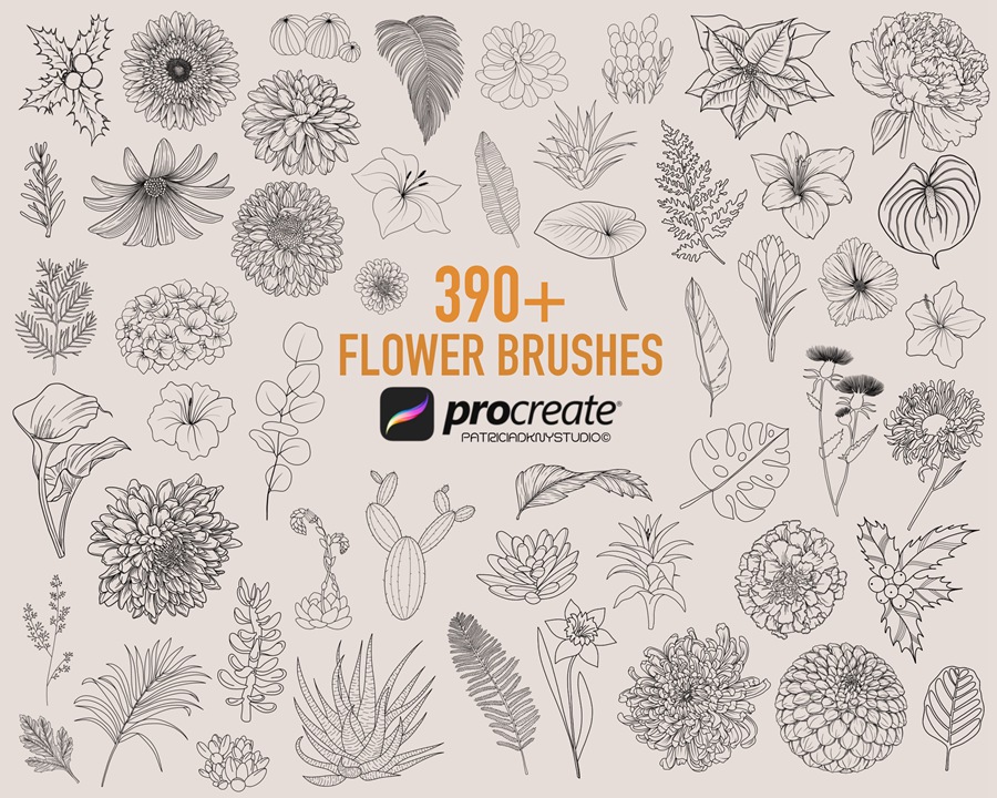 390+植物花卉线描画Procreate笔刷套装 , 第1张