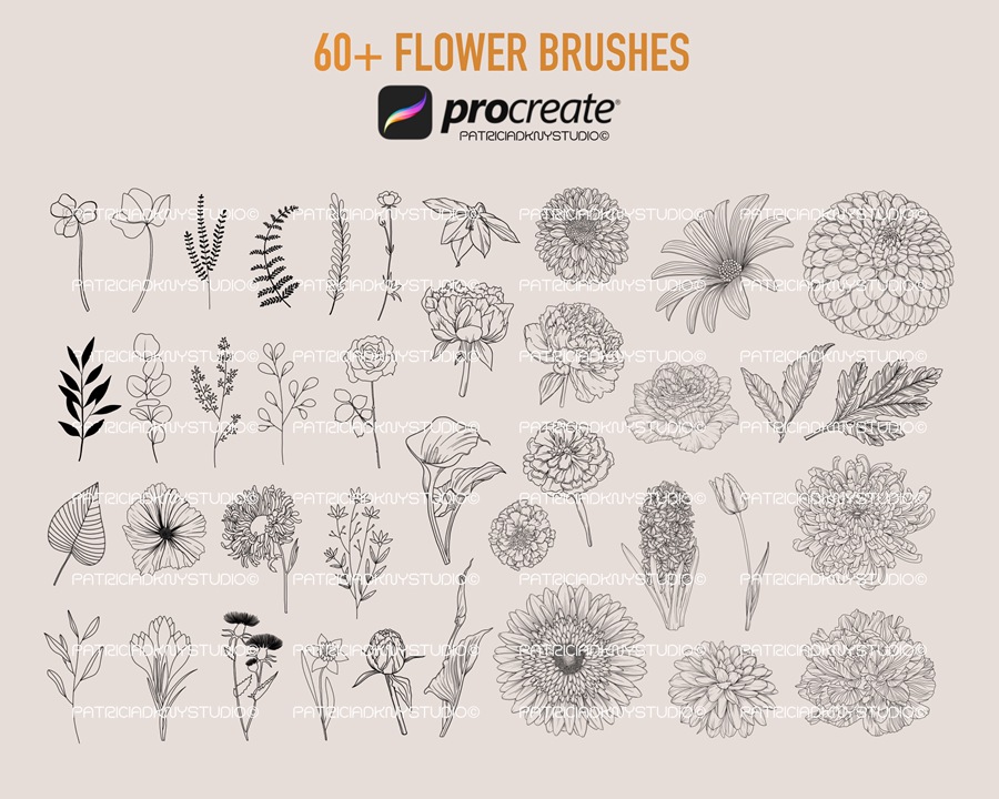 390+植物花卉线描画Procreate笔刷套装 , 第3张