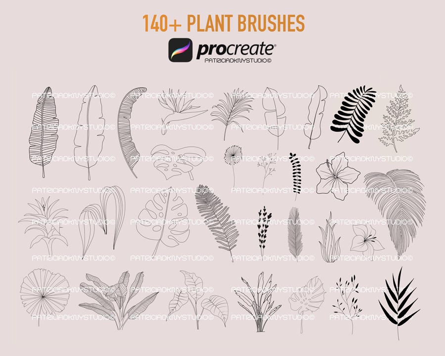 390+植物花卉线描画Procreate笔刷套装 , 第5张