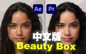 中文汉化版-视频人像磨皮润肤美颜AE/PR插件 Beauty Box 5.0.10 Win
