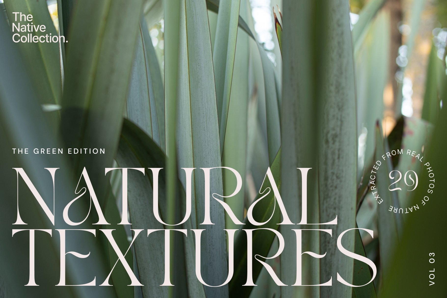 一组精美新西兰本土植物自然植物设计纹理-绿色版v03 Natural textures – Green edition v03 , 第1张