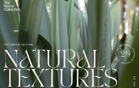 一组精美新西兰本土植物自然植物设计纹理-绿色版v03 Natural textures – Green edition v03