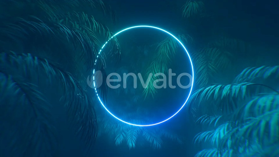 视频素材：霓虹灯发光的圆圈和棕榈树动画背景视频素材 , 第1张