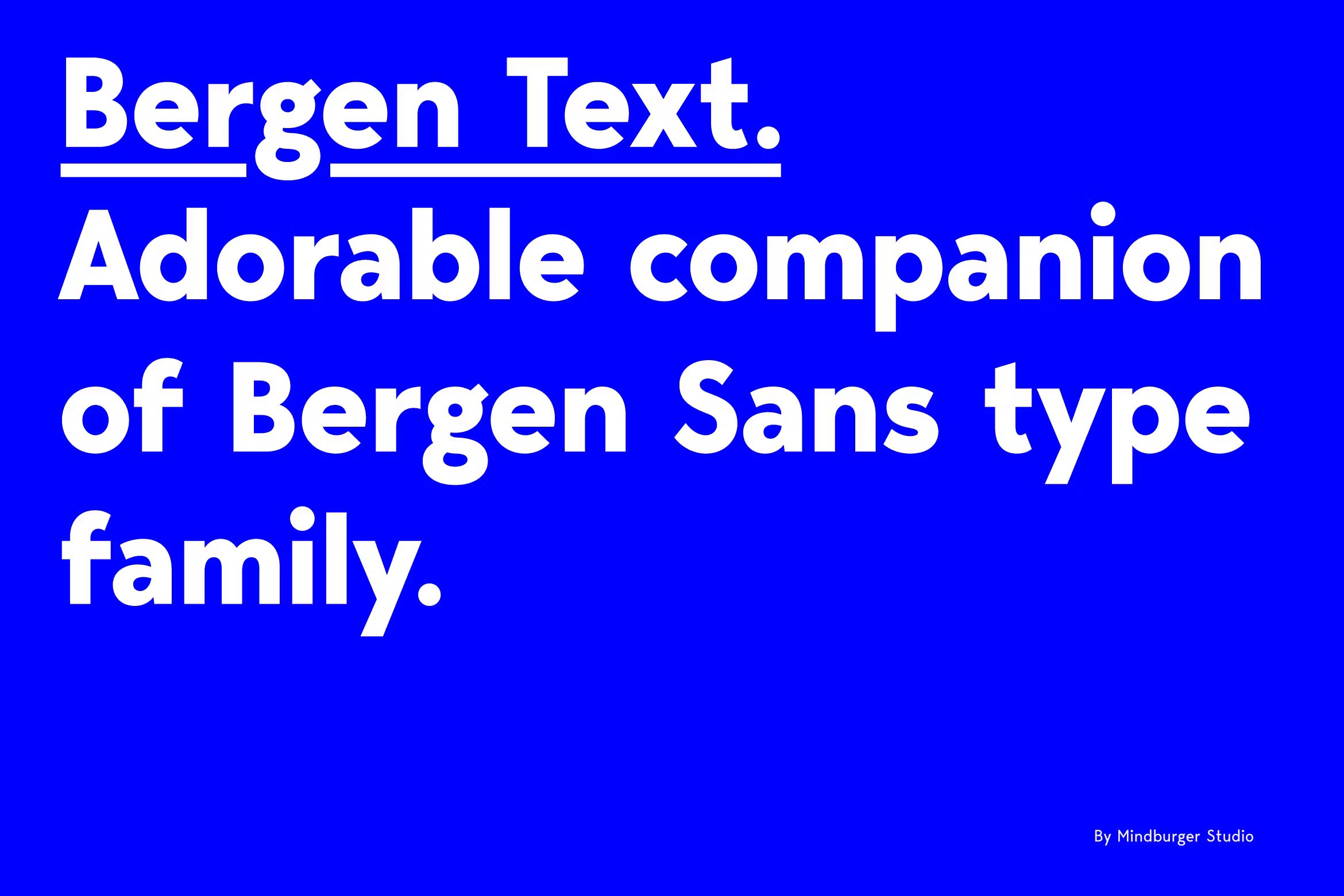 Bergen Text 6种完美可读性体验扩展拉丁语、西里尔语无衬线字体 设计素材 第1张