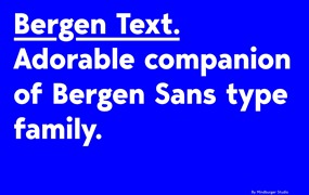 Bergen Text 6种完美可读性体验扩展拉丁语、西里尔语无衬线字体