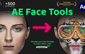 AE插件：人脸面部追踪贴图表情化妆美颜丑化换脸锁定变形特效预设工具 AE Face Tools V5.2版