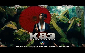 7种现代经典好莱坞电影级 Kodak 2383 灵感美学胶片模拟调色预设 达芬奇PowerGrade + LUT ( K83 Cinematic PowerGrade | Kodak 2383 Inspired Film Emulation )