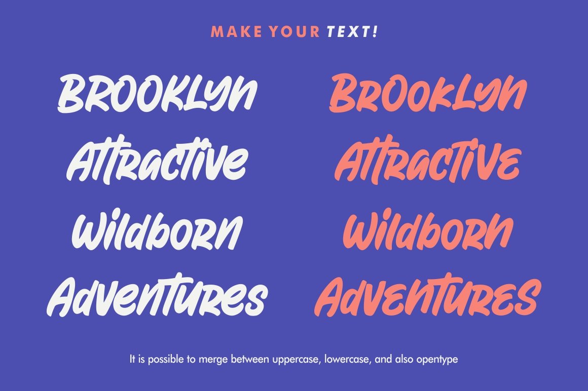 Attractype Reborn – Stylish Font 时尚脚本字体标志设计品牌形象产品包装商品社交媒体字体 , 第3张
