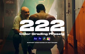 Pixflow 222个好莱坞胶片电影婚礼视频滤镜颜色分级LUT包 colorify-222-luts