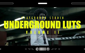 PLAYGROUND STUDIO 复古地下黑人嘻哈富士胶片电影短片LUTS调色预设包 Slog3-underground-and-standard-luts