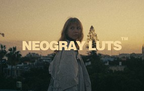 独特情绪叙事胶片风格短片色彩分级LUT调色预设 NEOGRAY LUTS