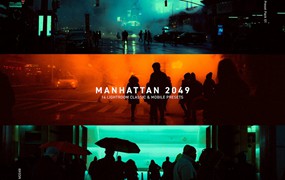 14个受《银翼杀手》电影启发复古浓郁胶片扫街城市人文夜间摄影人像Lightroom预设 Manhattan 2049