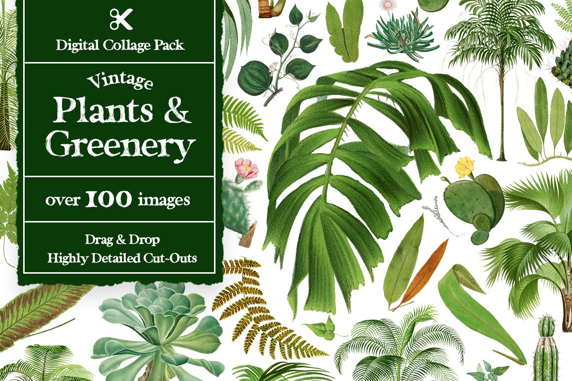 1100个复古拼贴艺术动植物海洋生物杂志拼贴剪纸插图创作者PNG元素包 Collage Supply Co 图片素材 第10张