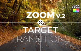 FCPX插件：59组可自定义目标焦点缩放过渡转场预设 Zoom To Target Transitions V2