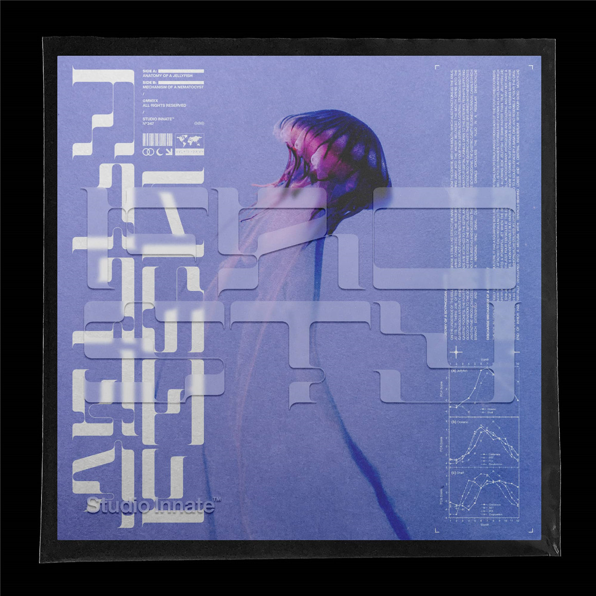 Studio Innate 潮流磨砂音乐专辑CD光盘包装纸袋贴纸设计展示贴图样机模板素材 Frosted Disc 样机素材 第2张