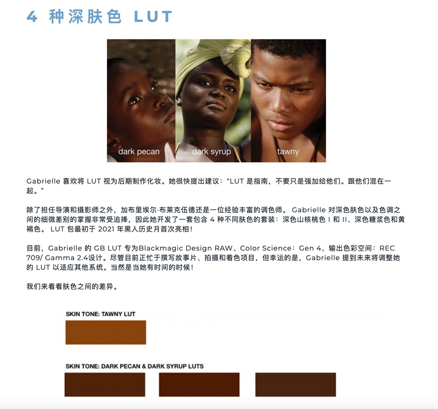 黑人深色肤色电影视觉外观颜色分级调色LUTS FOR DARK SKIN TONES , 第6张