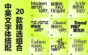 20款新潮视觉美学逆反差酸性像素风格海报轮播杂志中文英文字体包 Trendy font Bundle