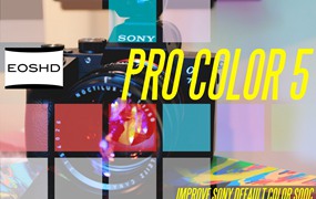 EOSHD PRO COLOR 5 – 改进索尼的色彩科学 – 现在适用于所有索尼相机，包括 A7S III / A7C / A7 III 等 - PDF