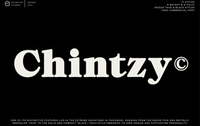 ZT Chintzy复古风格衬线字体，免费可商用