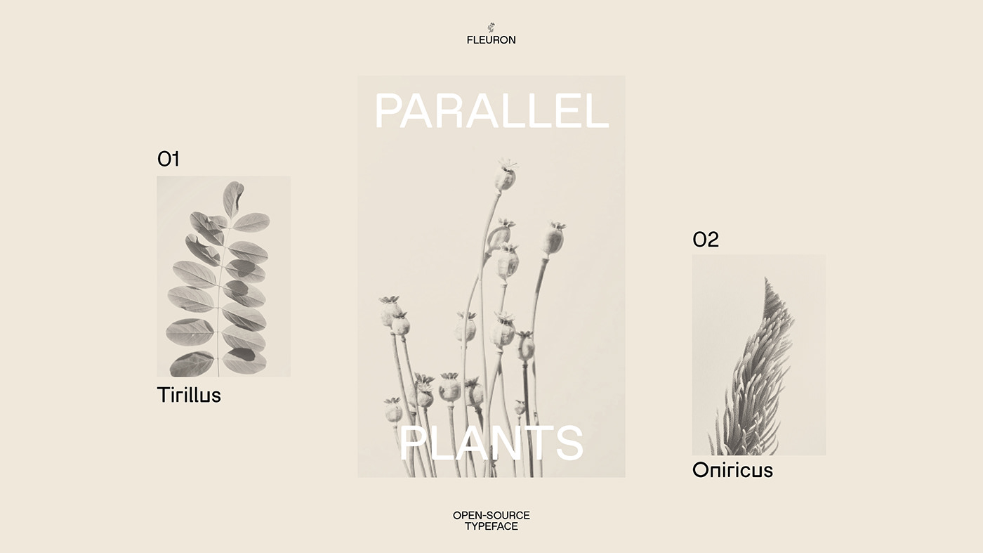 Fleuron花卉图形英文装饰字体，免费可商用 设计素材 第10张