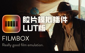 Filmbox Lut 热门复古美学电影胶片模拟插件LUT版本