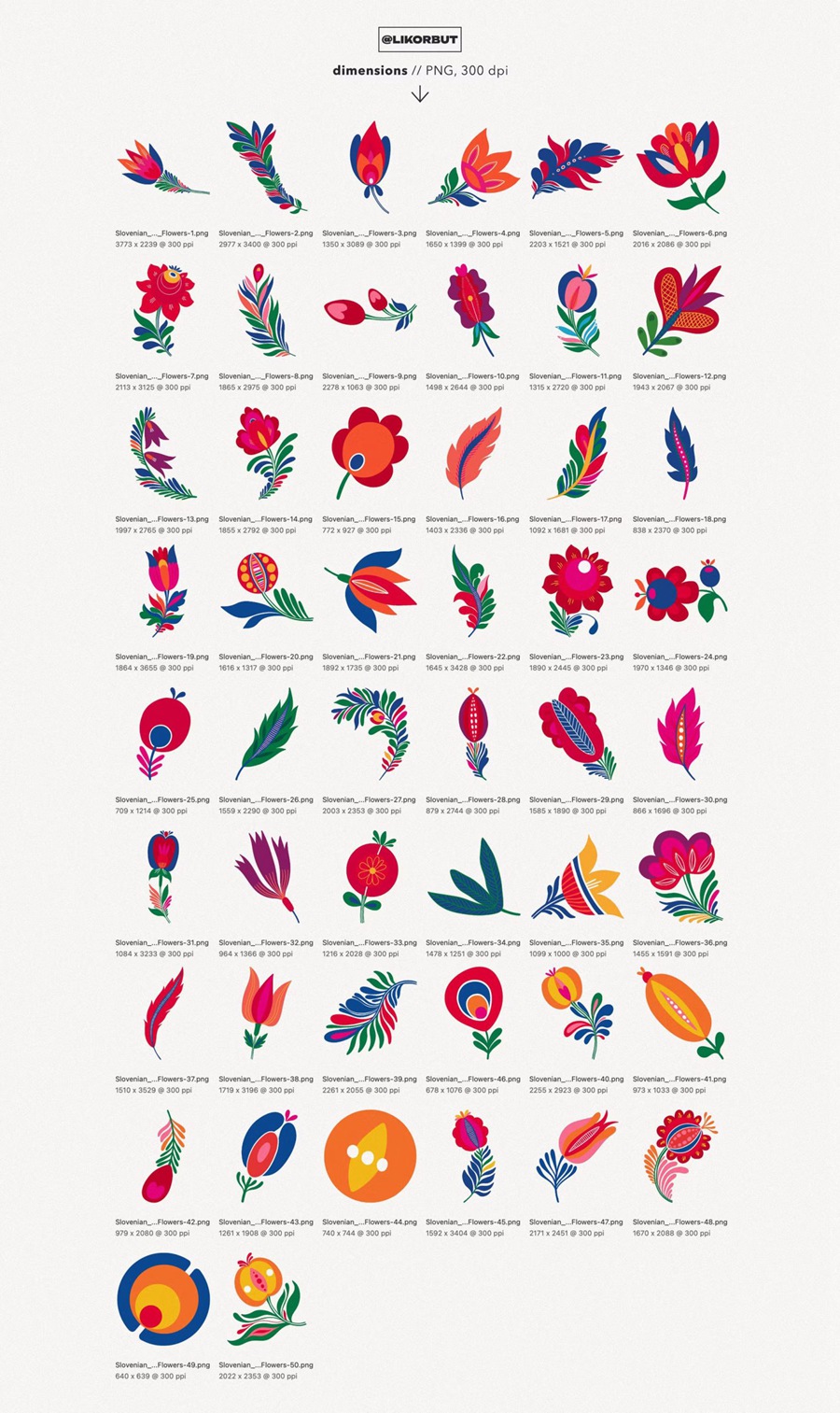 传统民间艺术抽象花卉图形服装纺织包装袋邀请函品牌推广创意PNG免扣花卉图案 Folk Abstract Floral Graphics , 第4张