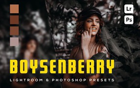 暗红黑色人像街拍摄影后期调色Lightroom预设 6 Boysenberry Lightroom- und Photoshop-Voreinstellungen