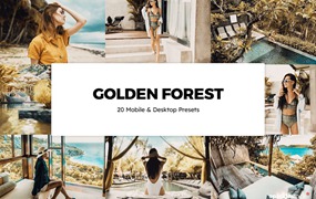 金黄色调森林旅行摄影后期Lightroom预设及电影调色LUT预设 20 Golden Forest Lightroom Presets & LUTs