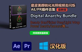 【持续更新】AE/PR插件：磨皮美颜锐化光照视频去闪烁AE/PR插件合集 Digital Anarchy Bundle 2023.9 Win汉化版