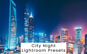 时尚城市夜景电影旅拍摄影后期调色Lightroom预设 Lightroom Presets für City Night