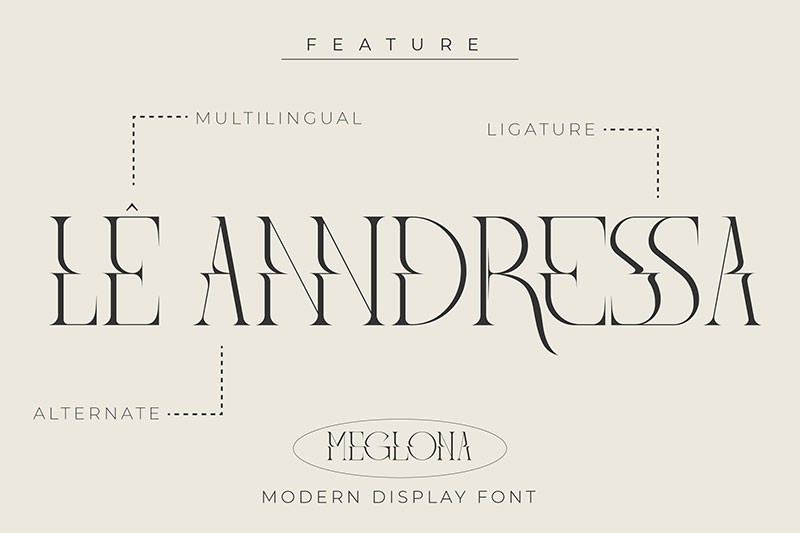 Meglona现代时尚英文衬线字体 设计素材 第5张