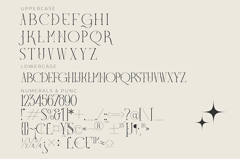 Meglona现代时尚英文衬线字体 设计素材 第10张