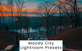 穆迪城市风景风光街拍摄影后期调色Lightroom预设 Moody City Lightroom Presets