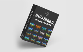 Premiere Gal 20部流行好莱坞电影彩色胶片LUTS调色预设包+PR预设 Hollywood Movie Color Preset LUT Pack
