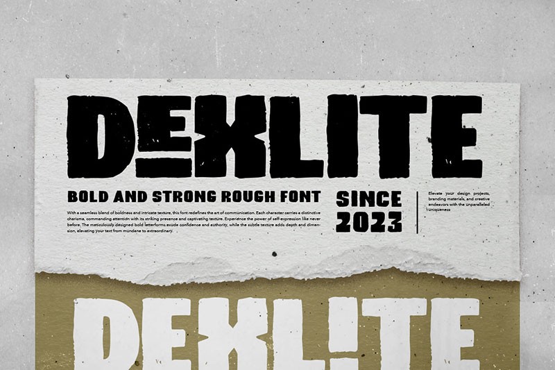Dexlite复古厚重英文字体 , 第1张