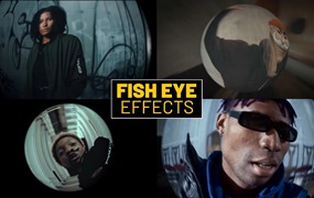 PR预设：20款复古逼真头畸变鱼眼镜头拉伸扭曲视频镜头效果预设