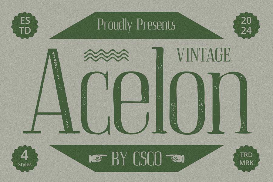 现代风格精致美感时尚压缩设计高窄复古怀旧品牌推广编辑设计海报衬线字体 Acelon Vintage , 第1张
