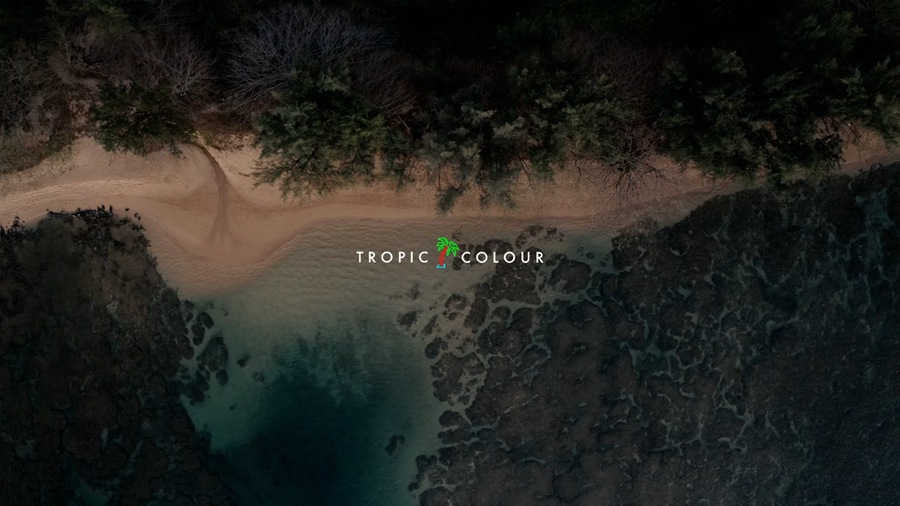 Tropic Colour 22分钟4K热带海滩航拍空中水波浪花后期调色灰片素材片段 Beaches Aerial Stock , 第4张