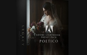 LR/PS预设-传统婚礼人像柔和氛围Lightroom预设 Legacy Presets-Francesca Angrisano-Poetico