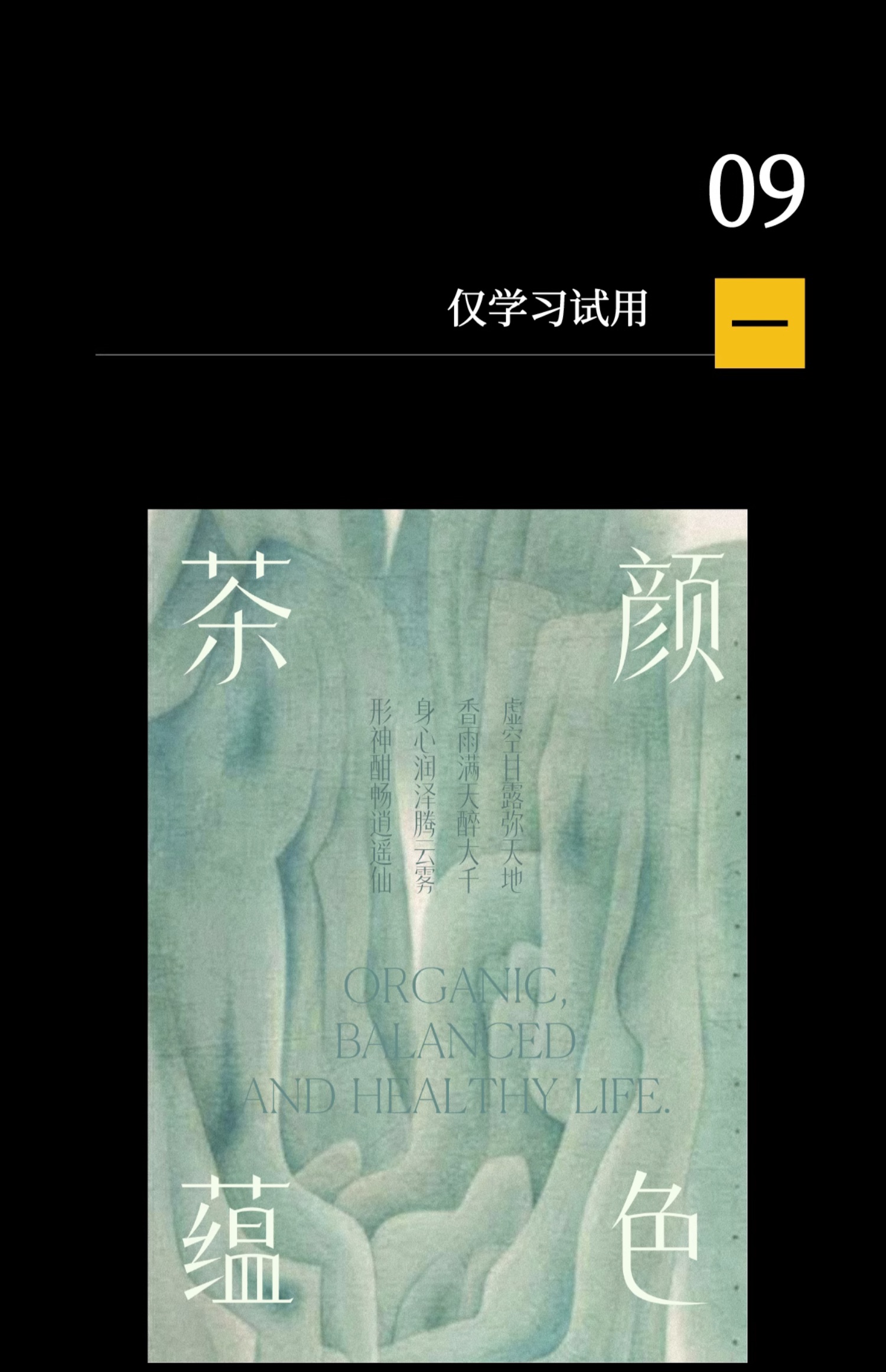 24个文艺古风宋体字体书籍展览海报排版视频剪辑中文字体 , 第10张