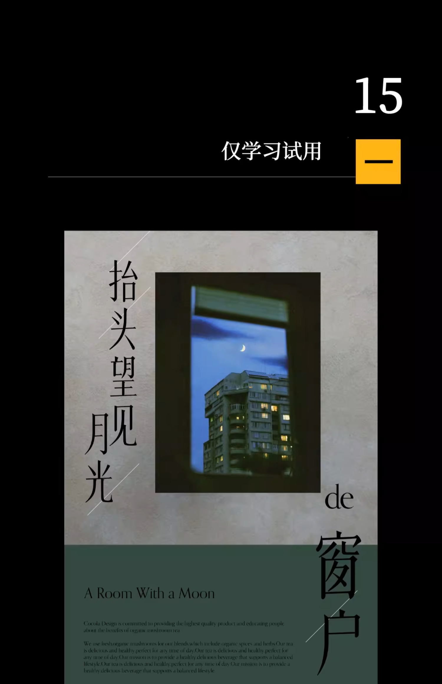 24个文艺古风宋体字体书籍展览海报排版视频剪辑中文字体 , 第16张