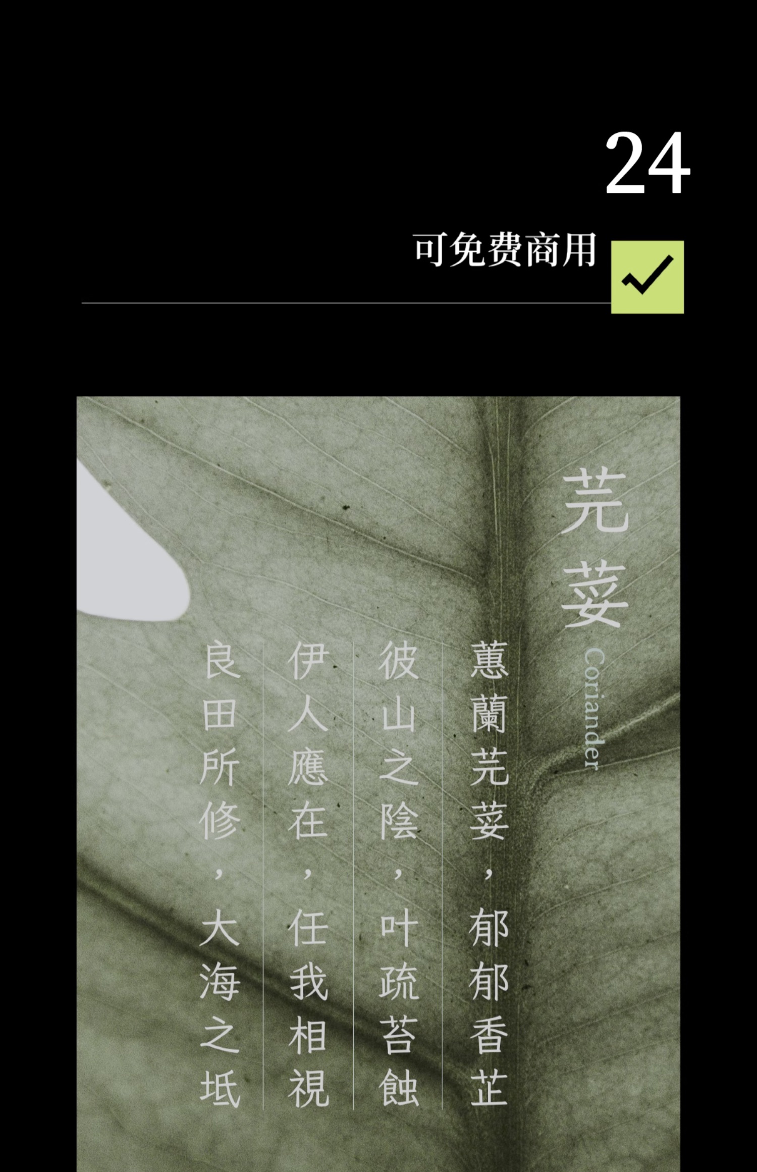 24个文艺古风宋体字体书籍展览海报排版视频剪辑中文字体 , 第25张
