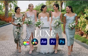 Gamut – Luxe 清新优雅轻奢婚礼旅拍人像摄影色彩分级LUTS调色预设