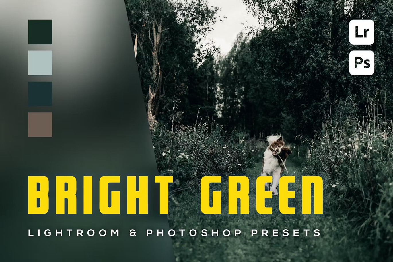 现代电影黑暗深绿色摄影后期调色Lightroom预设 6 hellgrüne Lightroom- und Photoshop-Voreinstellungen 插件预设 第1张