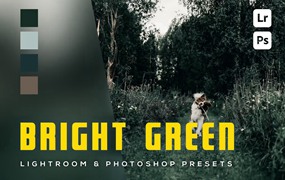 现代电影黑暗深绿色摄影后期调色Lightroom预设 6 hellgrüne Lightroom- und Photoshop-Voreinstellungen
